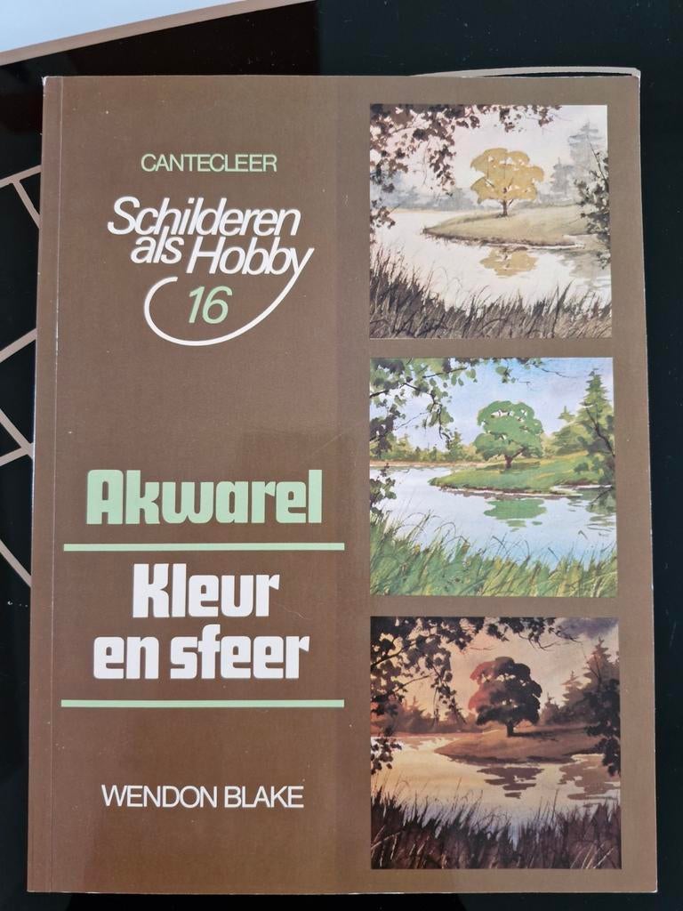 Boek ´Schilderen als hobby: aquarel', Boeken, Ophalen of Verzenden, Zo goed als nieuw