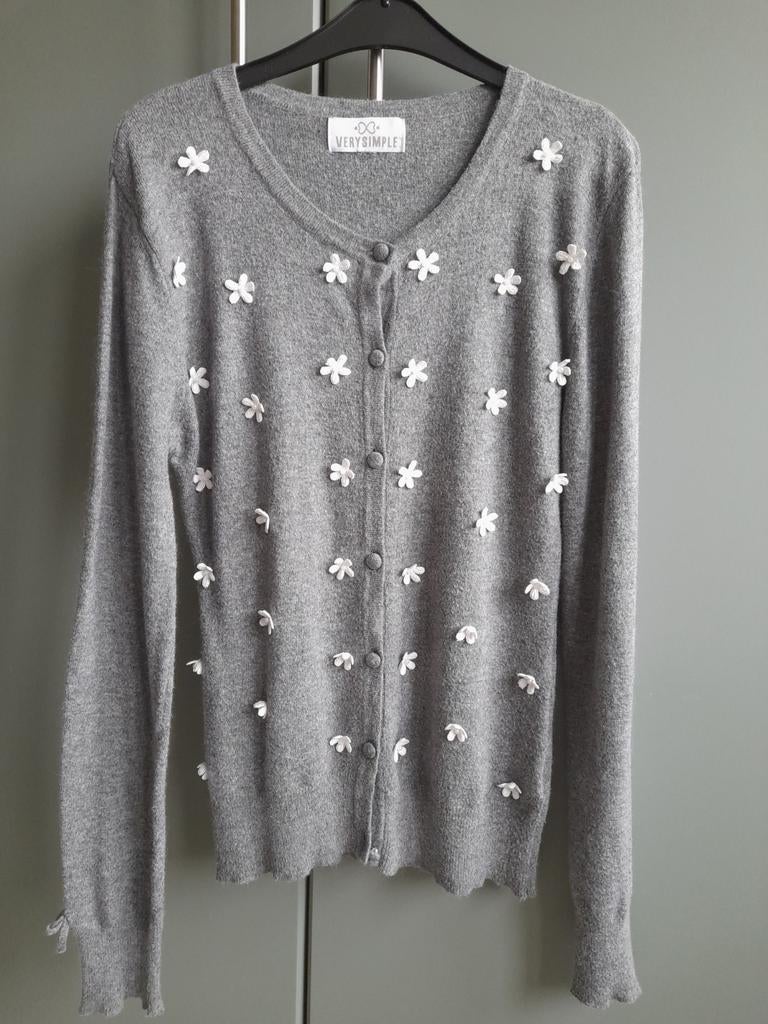 Grijze gilet maat 38 merk VerySimple, Verysimple, Grijs, Gedragen, Ophalen