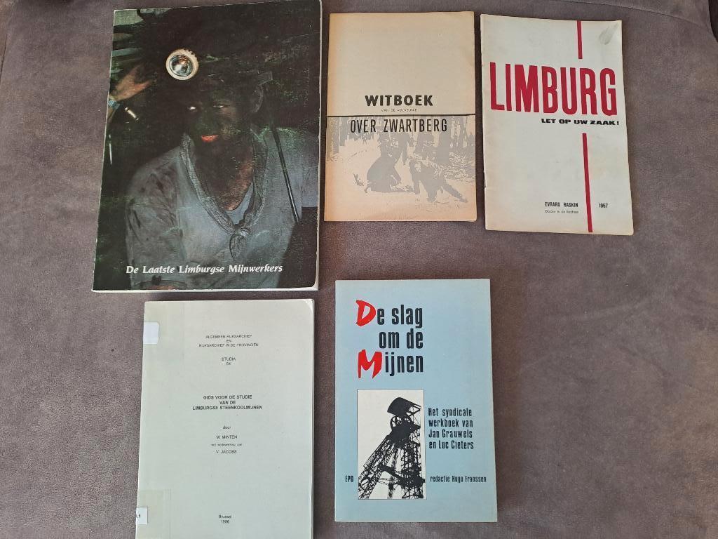 De Laatste Limburgse Mijnwerkers, mijnen steenkool, Boeken, Ophalen of Verzenden, KS, Minten, Raskin, 20e eeuw of later, Gelezen