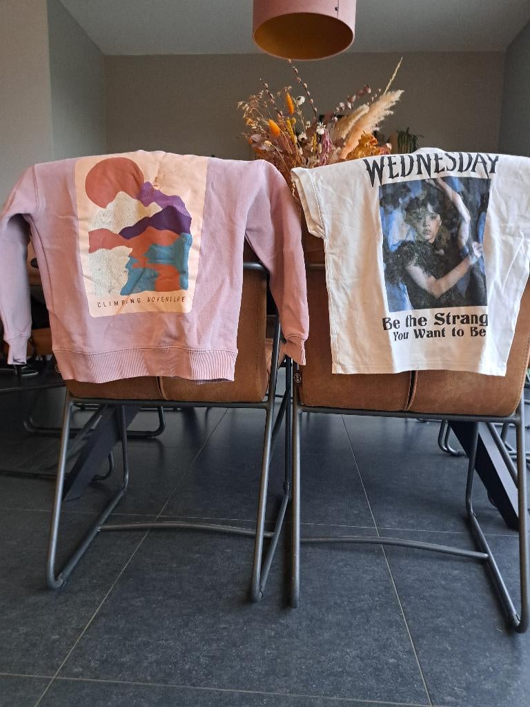 Een trui en een shirt 130, Kinderen en Baby's, Kinderkleding | Maat 128, Meisje, Ophalen of Verzenden, Zo goed als nieuw, Zara