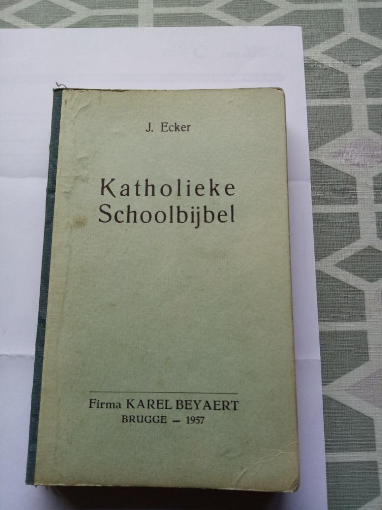 KATHOLIEKE SCHOOLBIJBEL, Boeken, Ophalen of Verzenden