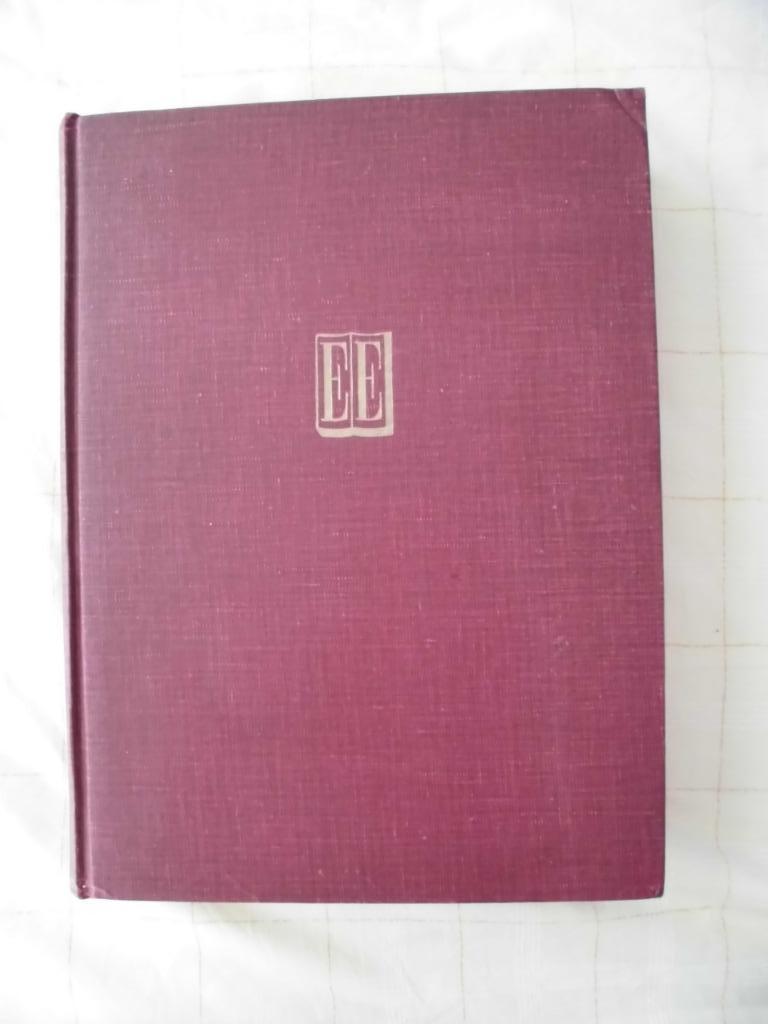 2 Boeken Don Quichotte geïllustreerd door Salvador Dali, Antiek en Kunst, Ophalen of Verzenden, Cervantes