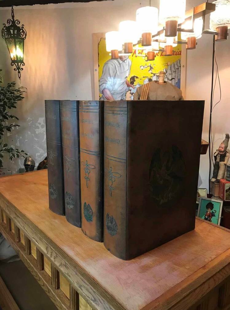 Grands livres factices en cuir ancien, Enlèvement ou Envoi
