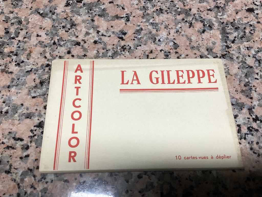 Mapje 10 zichtkaarten LA GILEPPE . Artcolor, Verzamelen, Postkaarten | België, Ophalen of Verzenden, 1940 tot 1960, Ongelopen