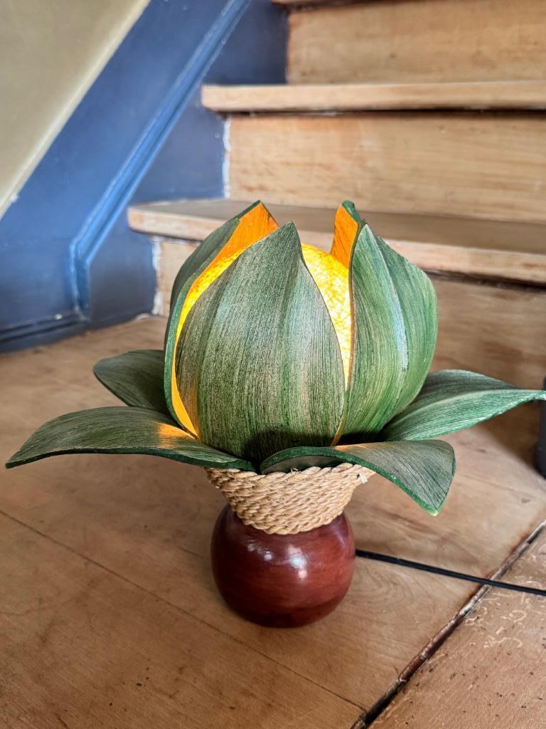 Lampe Lotus Flower, Enlèvement