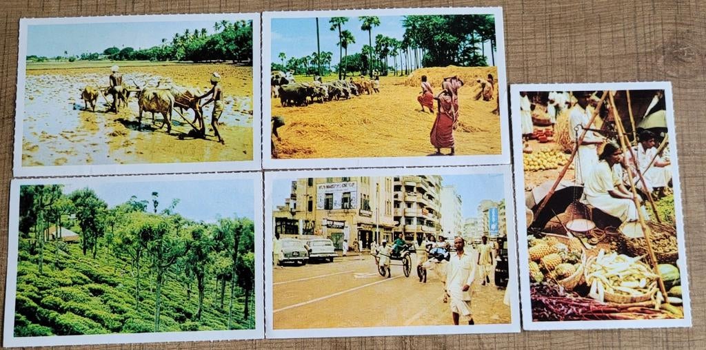 5 oude fotoprentjes: reeks De Indische wereld, Ophalen of Verzenden, Gebruikt, Overige onderwerpen, Prent