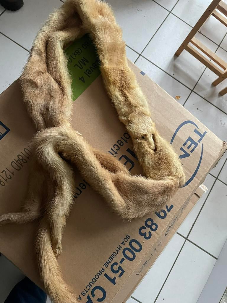 Écharpes en véritable hermine - Vintage, Vêtements | Femmes, Bonnets, Écharpes & Gants, Porté, Écharpe, Enlèvement