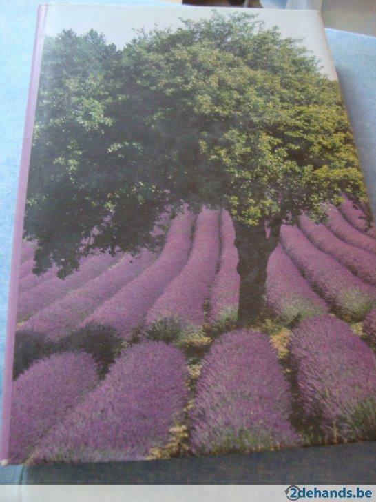 Provence en Camargue, prentenboek, Boeken, Prentenboeken en Plaatjesalbums, Gelezen, Ophalen of Verzenden