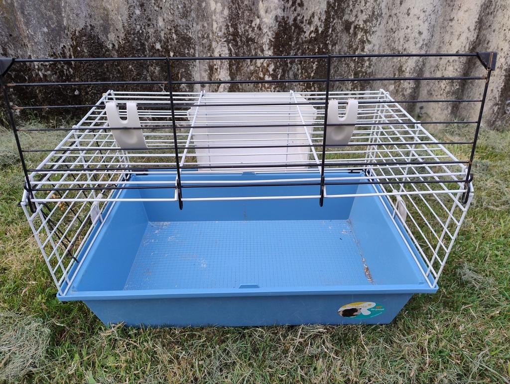Cage Ferplast pour petit rongeur, Animaux & Accessoires, Moins de 60 cm, Cage, Utilisé, Cobaye