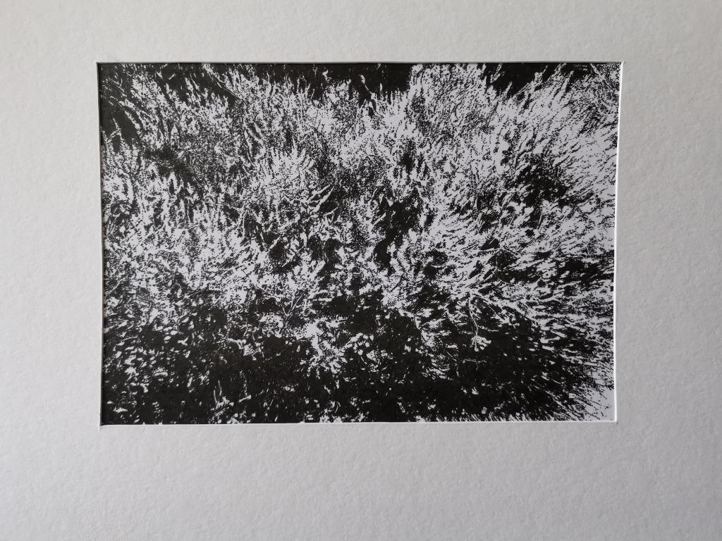 Het ritme van de heide, Antiek en Kunst, Ophalen