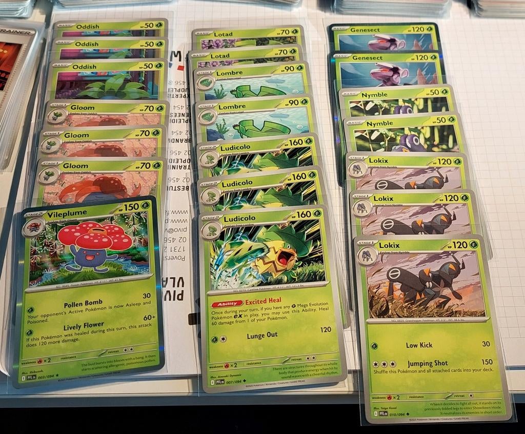 Phantasmal Flames onze dubbele pokemonkaarten, Ophalen, Nieuw, Losse kaart