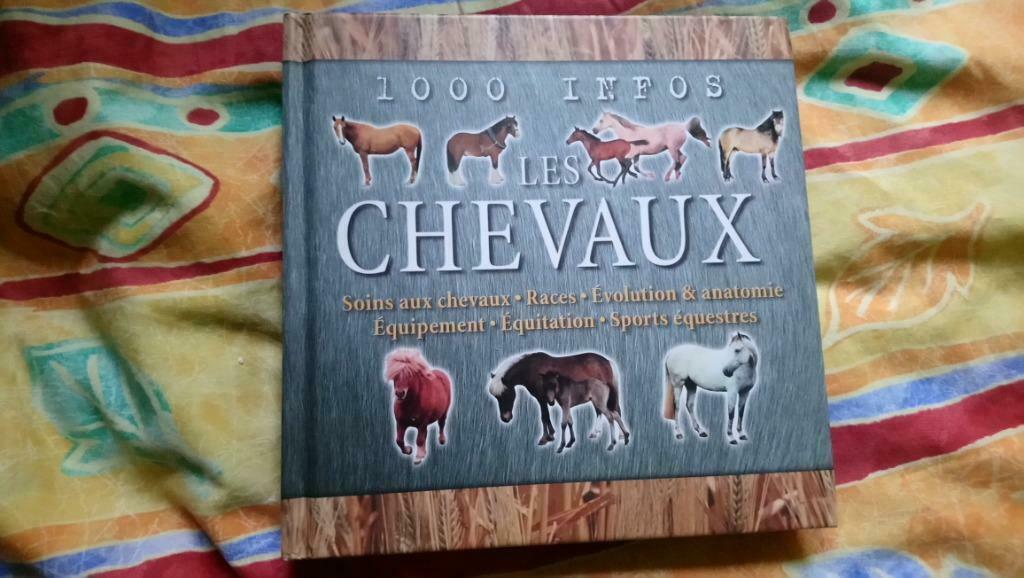 1000 infos : chevaux, Enlèvement ou Envoi, Comme neuf, Chevaux ou Poneys