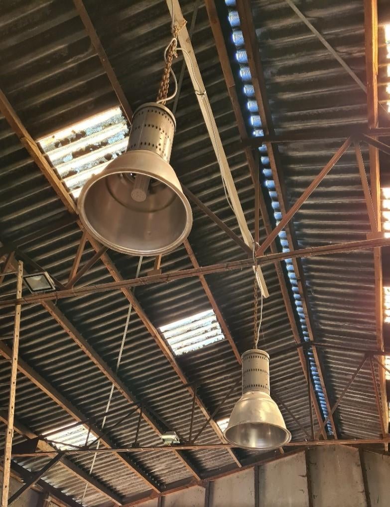 Lampes industrielles, 75 cm ou plus, Enlèvement, Utilisé, Industriel