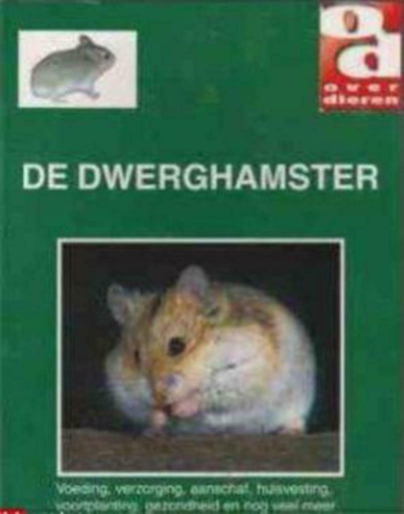 De dwerghamster, over dieren, Enlèvement ou Envoi, Utilisé, Lapins ou Rongeurs