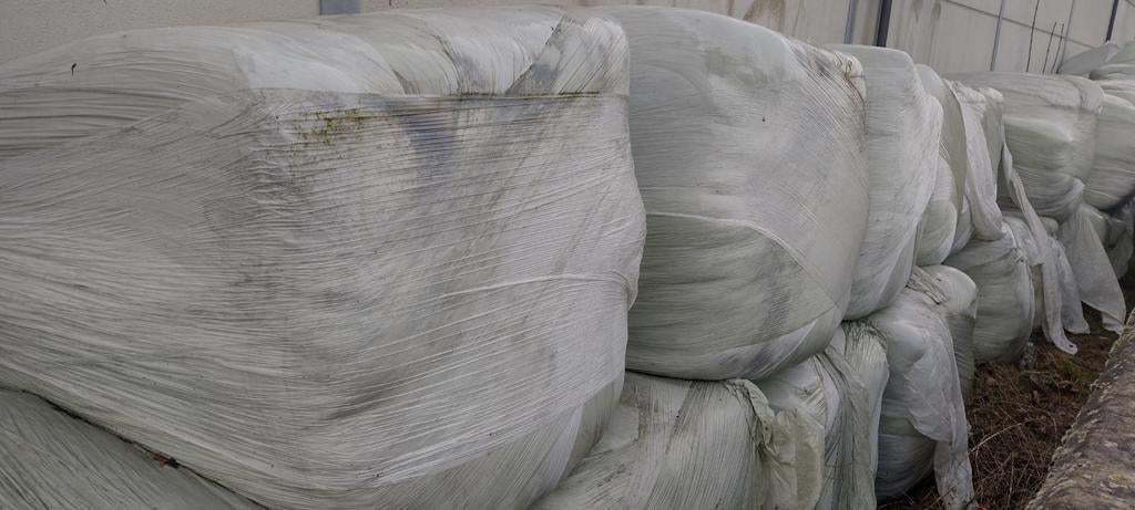 Voordroog pakken te koop 150/80/80, Dieren en Toebehoren, Ophalen of Verzenden