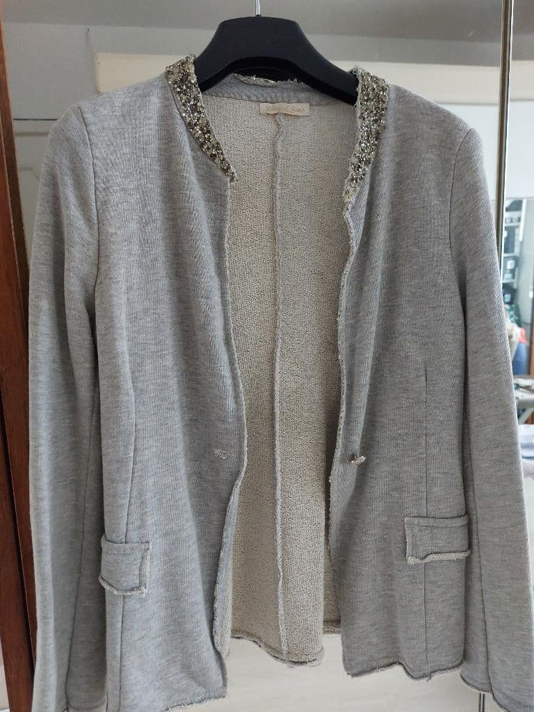 veste gilet cardigan sweat gris sport chic col brillant  T40, Vêtements | Femmes, Pulls & Gilets, Terra di siena, Enlèvement ou Envoi