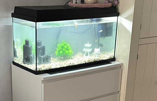 Aquarium juwel, Aquarium vide, Chauffage, Enlèvement, Utilisé