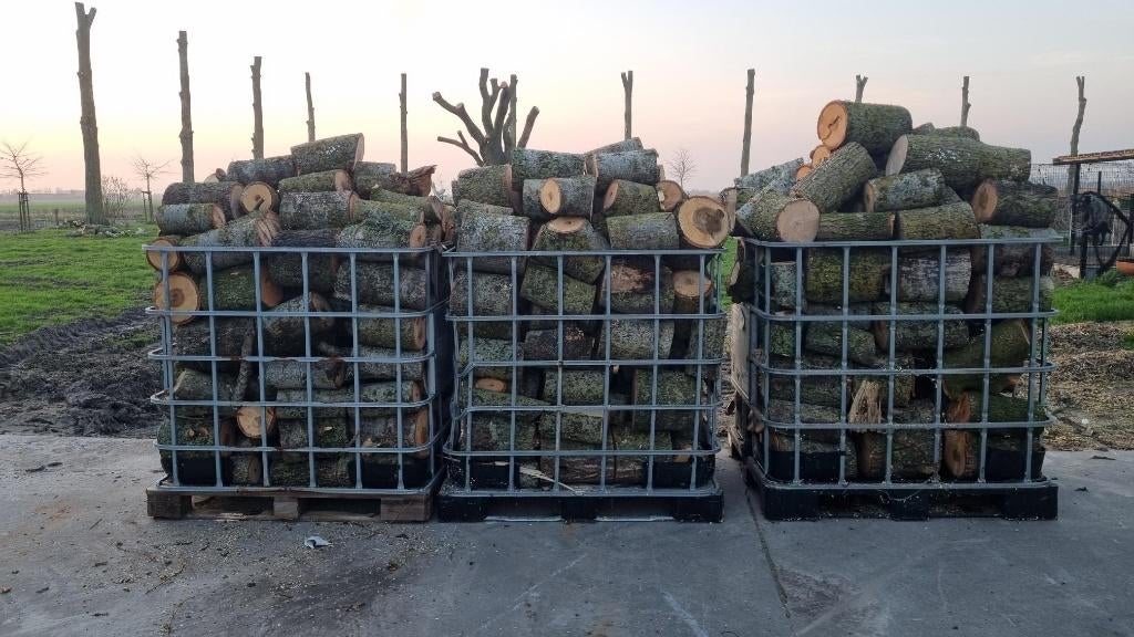 IBC gevuld met brandhout van populieren, Enlèvement, Autres essences de bois, Bûches