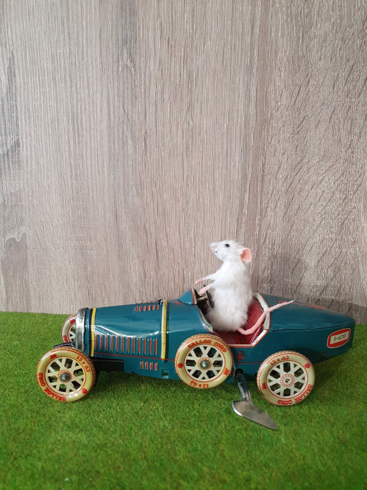 souris empaillé  taxidermie, Envoi, Neuf, Autres, Animal empaillé