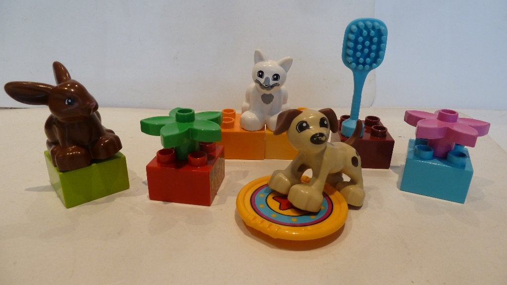 Lego Duplo 10838 Pets, Ophalen of Verzenden, Zo goed als nieuw, Duplo, Complete set