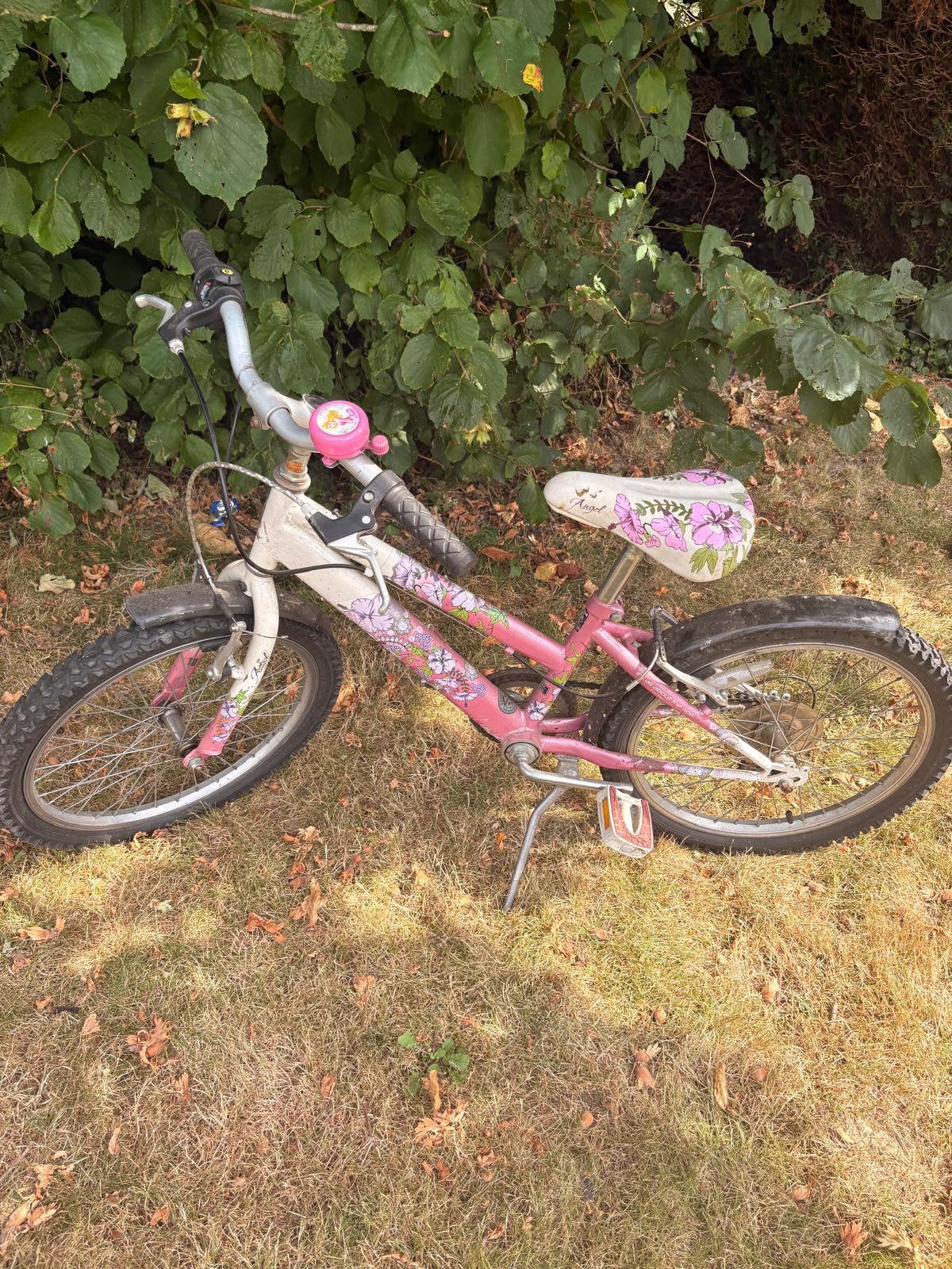 Kinderfiets, Ophalen, Gebruikt, Velgrem, Versnellingen