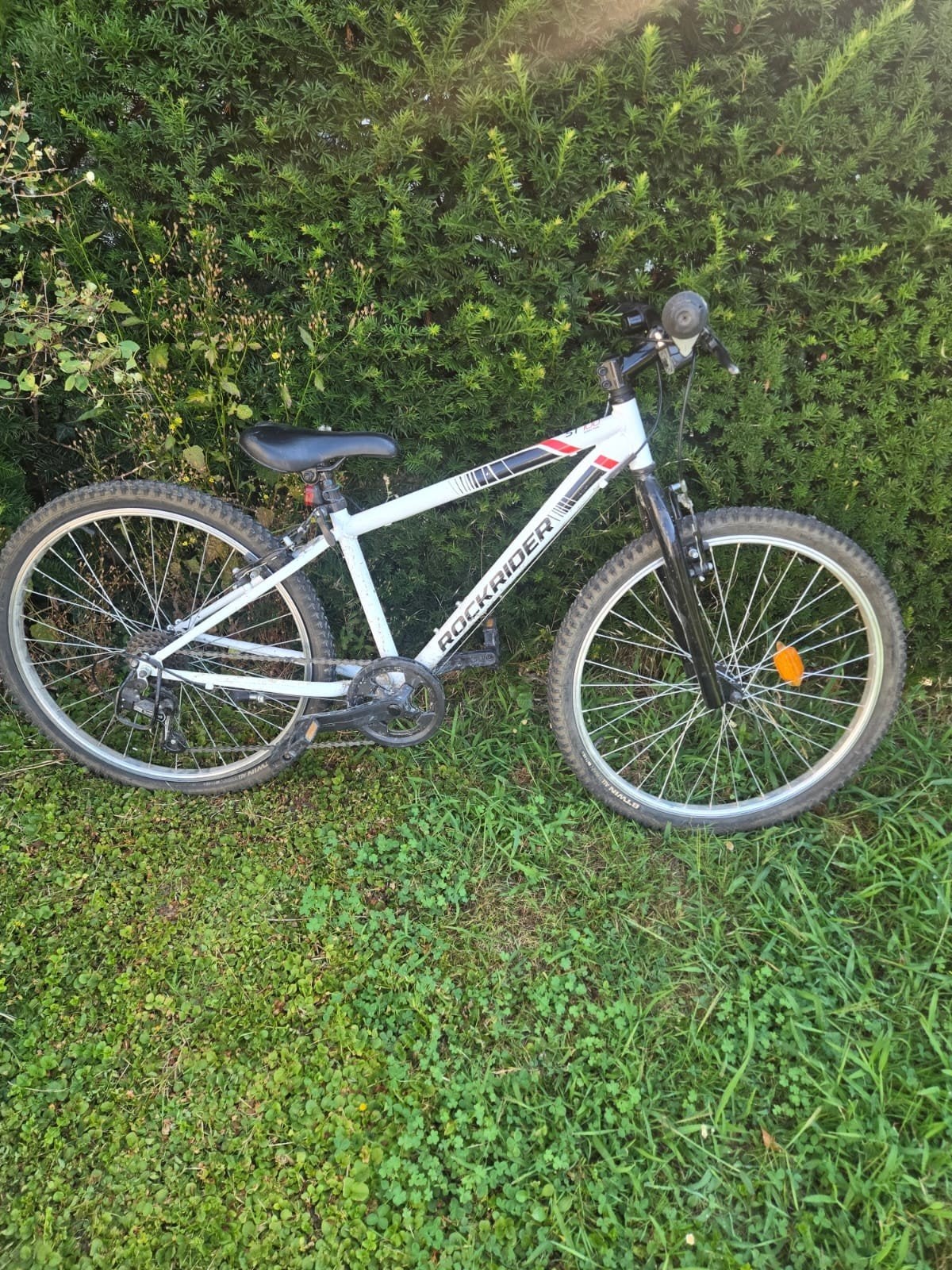 Rockrider ST 100, Enlèvement