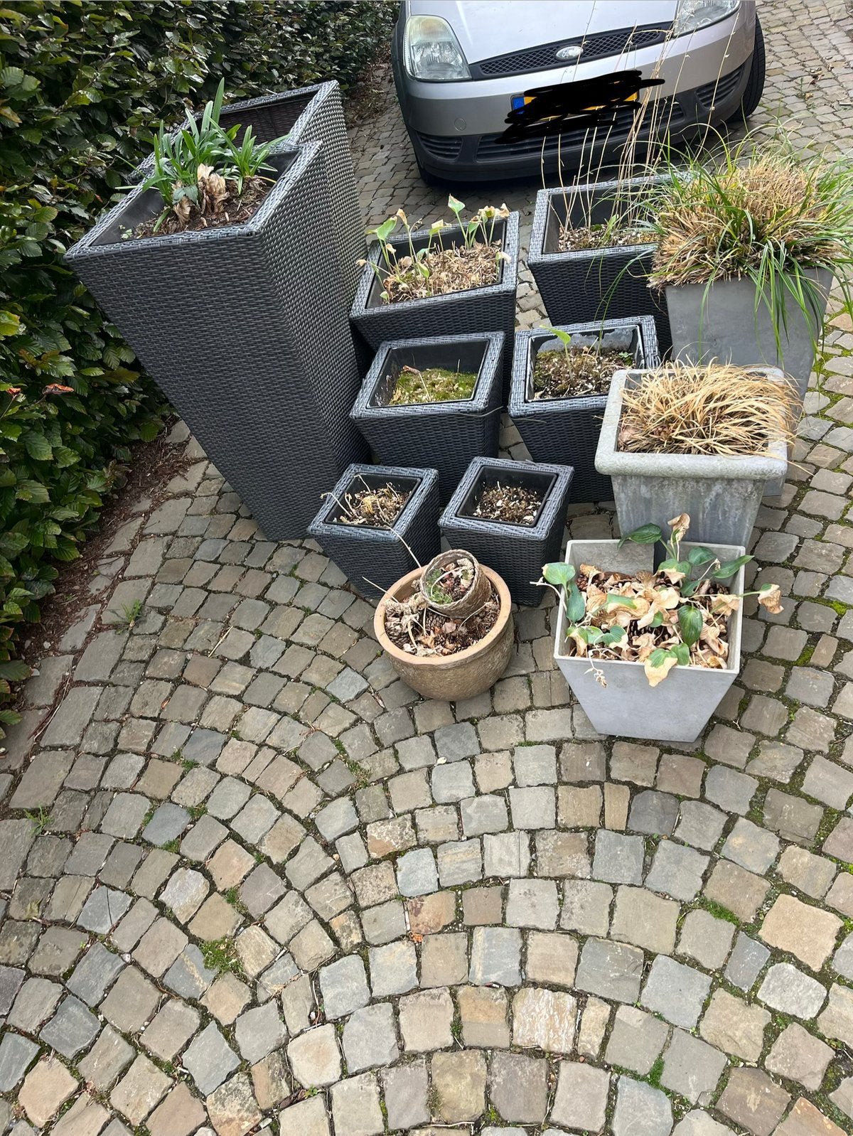 GRATIS Plantenbakken plastic en aardewerk, Ophalen, Zo goed als nieuw