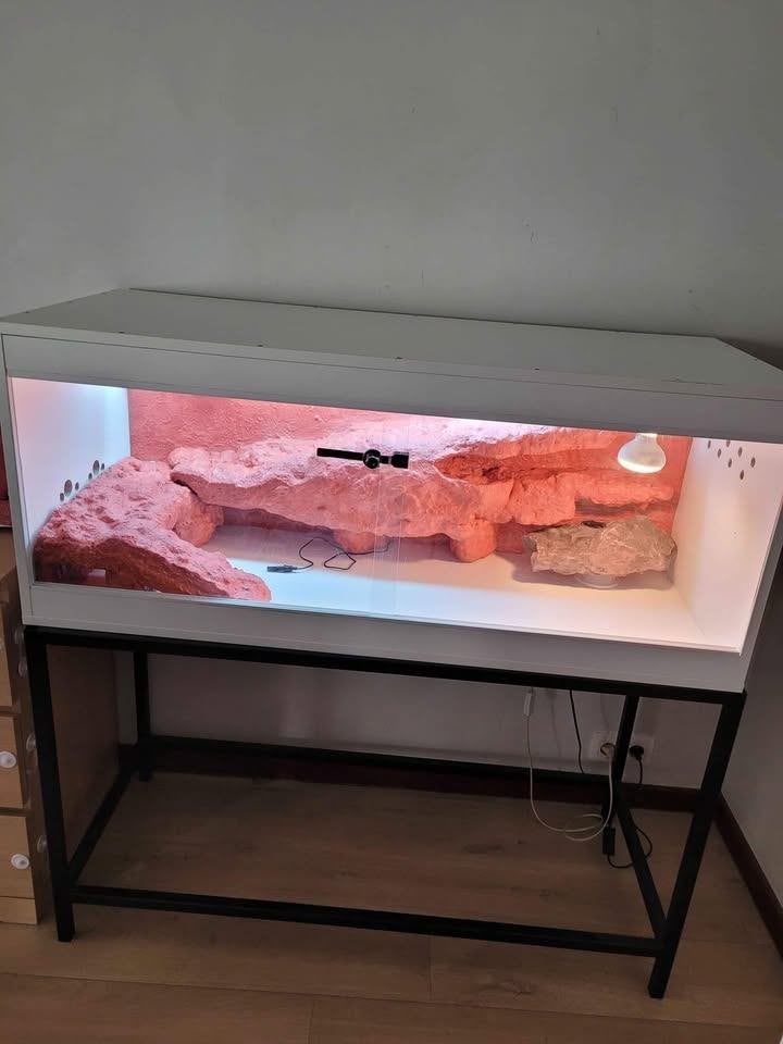 terrarium 120x50x50, Enlèvement, Neuf, Terrarium ou Paludarium