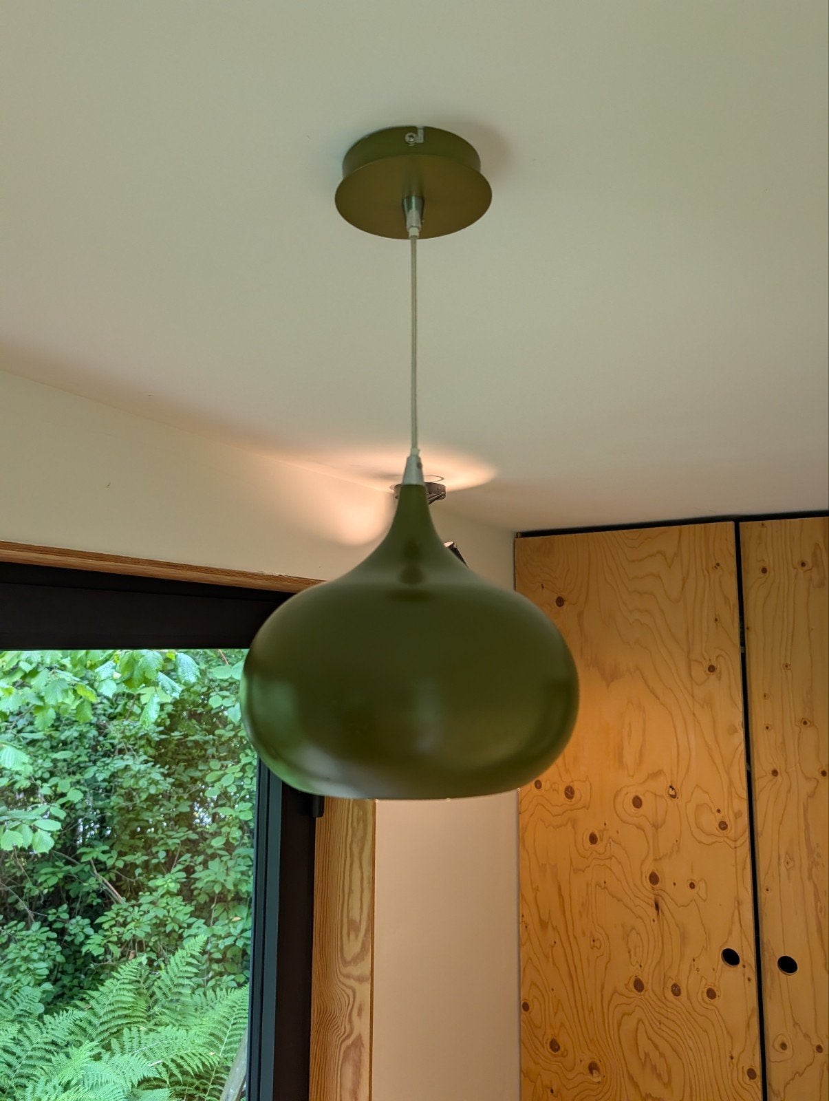Belle lampe suspendue verte, Enlèvement