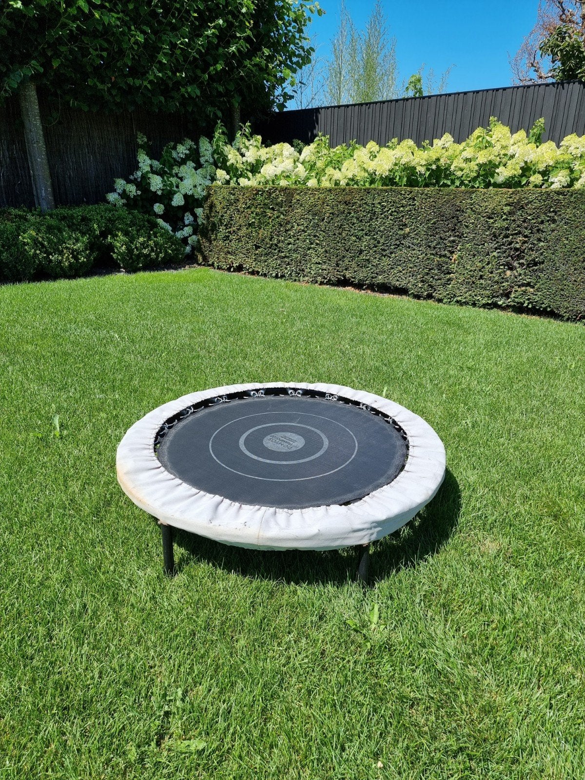 trampoline, Enfants & Bébés, Jouets | Extérieur | Trampolines, Enlèvement
