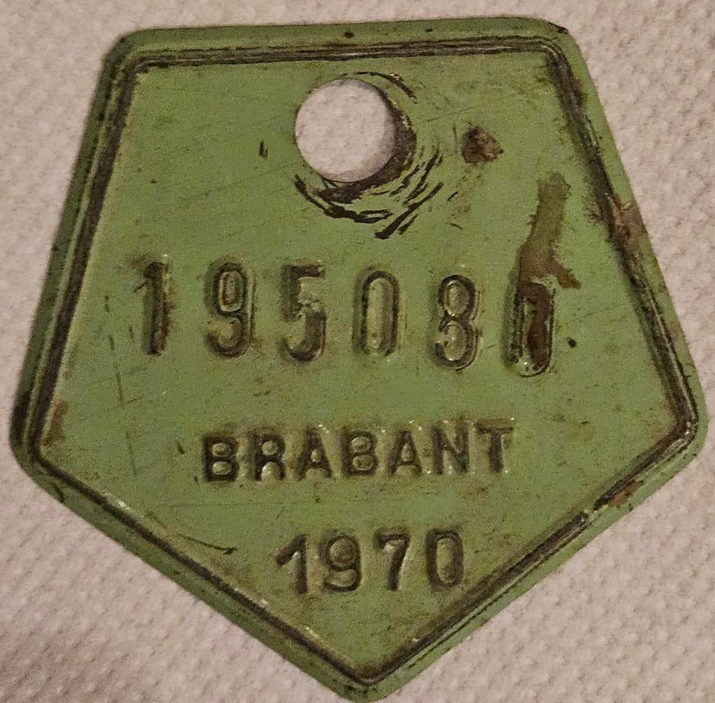 Plaque de vélo Brabant 1970 nr 195080
Cette image, Enlèvement ou Envoi
