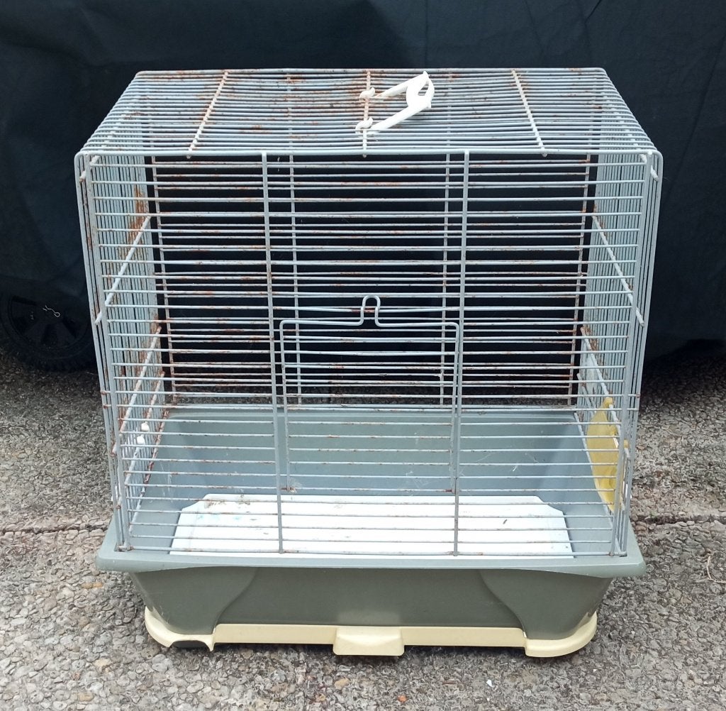 Cage à oiseau, Enlèvement, Utilisé, Autres matériaux, Autres types
