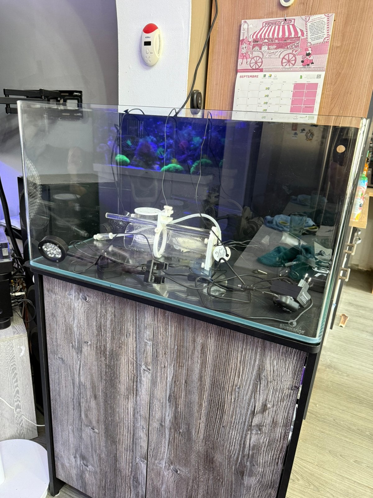 Aquarium, Enlèvement, Pompe, Comme neuf
