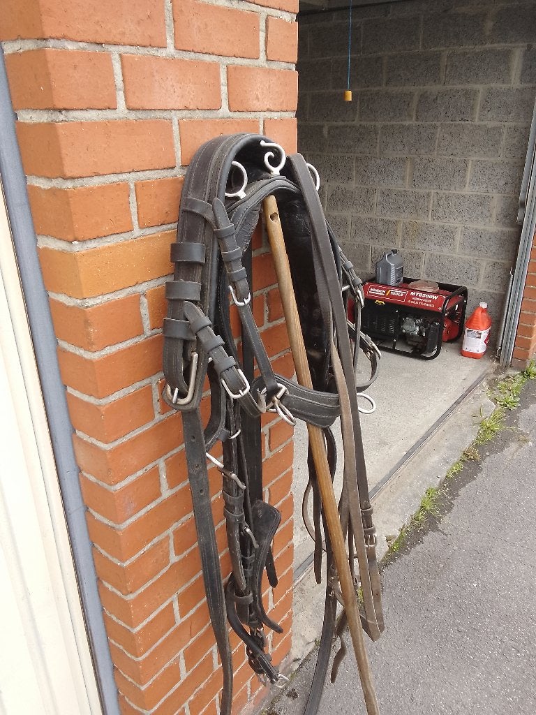 Pony tuig ideal, Dieren en Toebehoren, Gebruikt, Recreatie, Mentuig, Pony