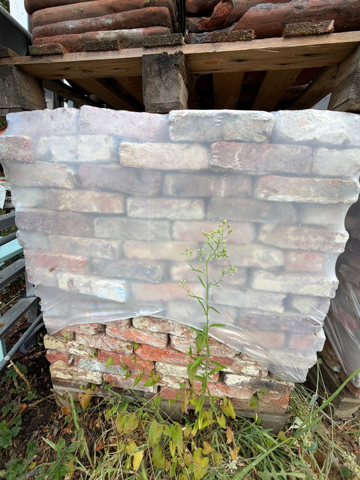Gevelsteen paepesteen 2700 stuks 18x5x8, Doe-het-zelf en Bouw, Metselstenen, Ophalen, Gebruikt