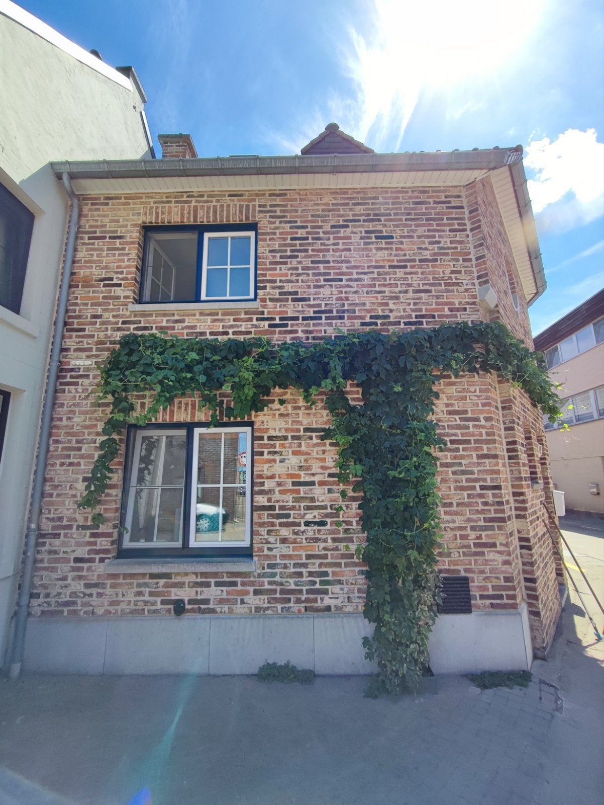 🏡 Instapklare karakteristieke woning in Dilsen-Stokkem, Immo, Huizen en Appartementen te koop