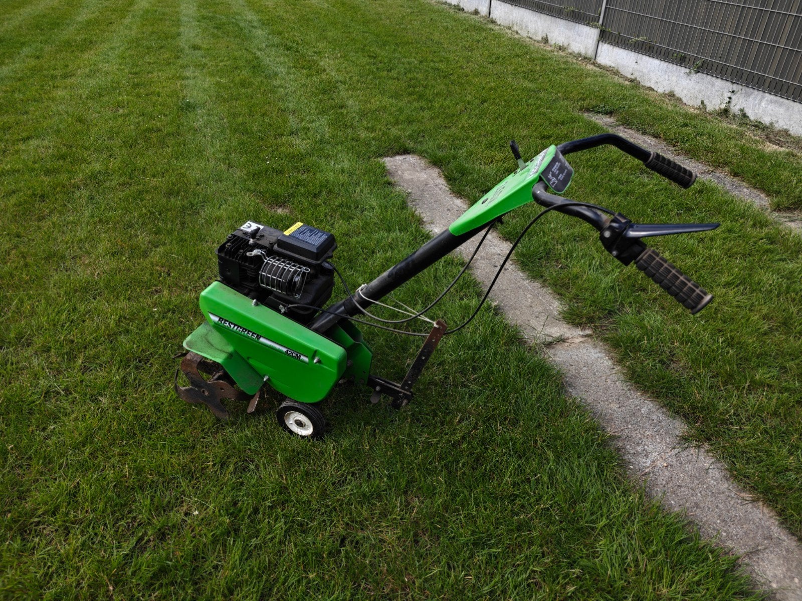 Tuinfrees in nieuwstaat, Enlèvement