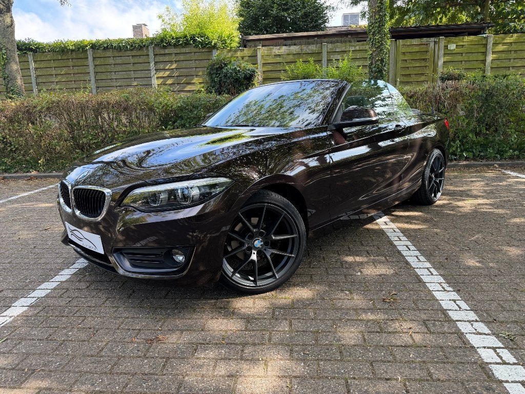 BMW 218I Cabrio | camera | navi | led | zetelverwarming, Auto's, BMW, 100 kW, Achterwielaandrijving, Overige kleuren, Leder