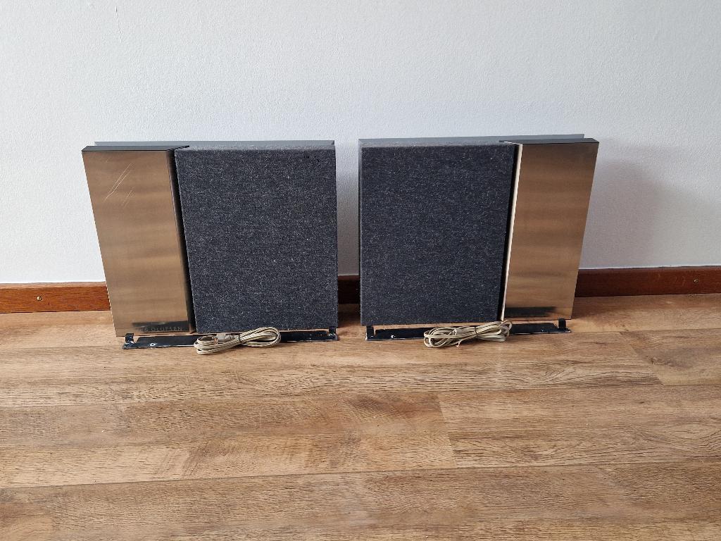 BeoVox 3000 Flat Panel Passive Luidsprekers Bang & Olufsen, Overige merken, Gebruikt, Ophalen of Verzenden, Minder dan 60 watt