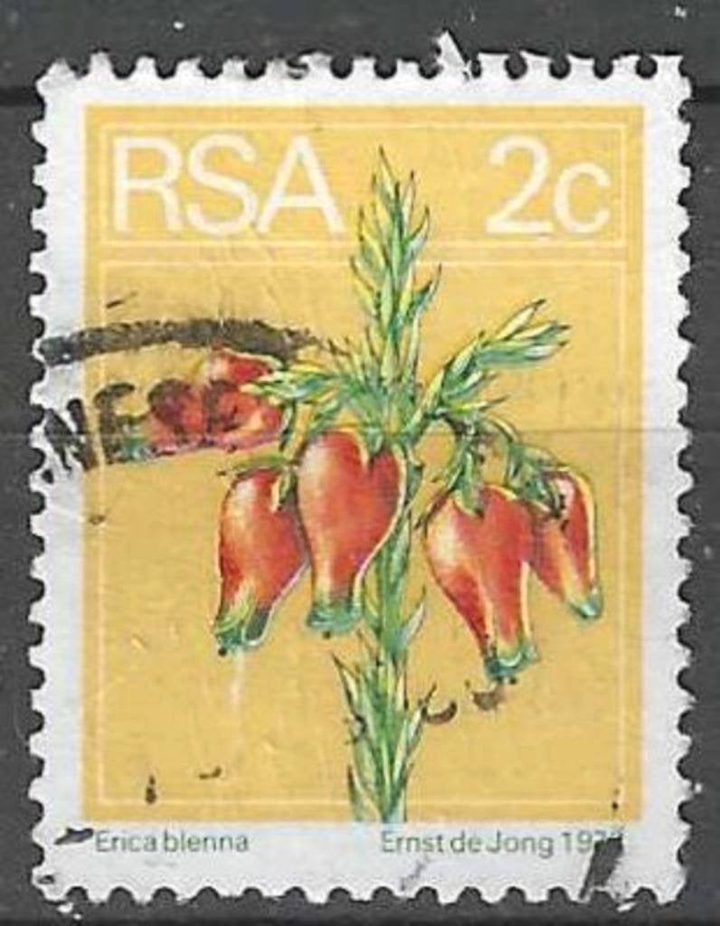 Zuid-Afrika 1974 - Yvert 360 - Erica blenna (ST), Verzenden, Zuid-Afrika, Gestempeld