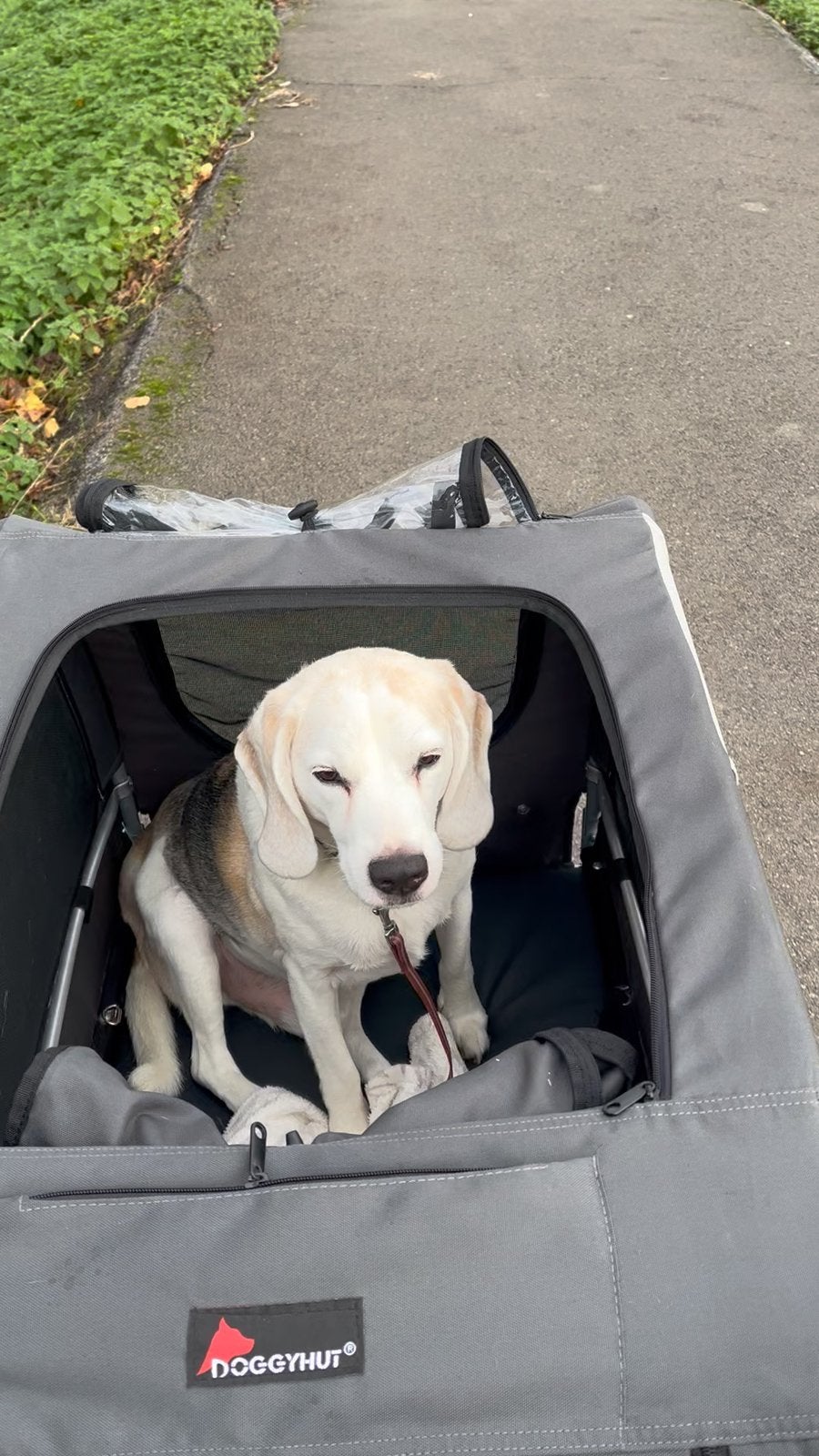 Grote hondenbuggy, Animaux & Accessoires, Accessoires pour chiens, Enlèvement, Utilisé, Poussette pour chien