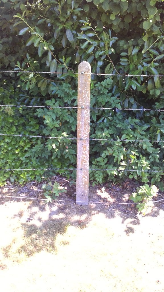 betonnen weidepalen 3€ per stuk, Weidegang