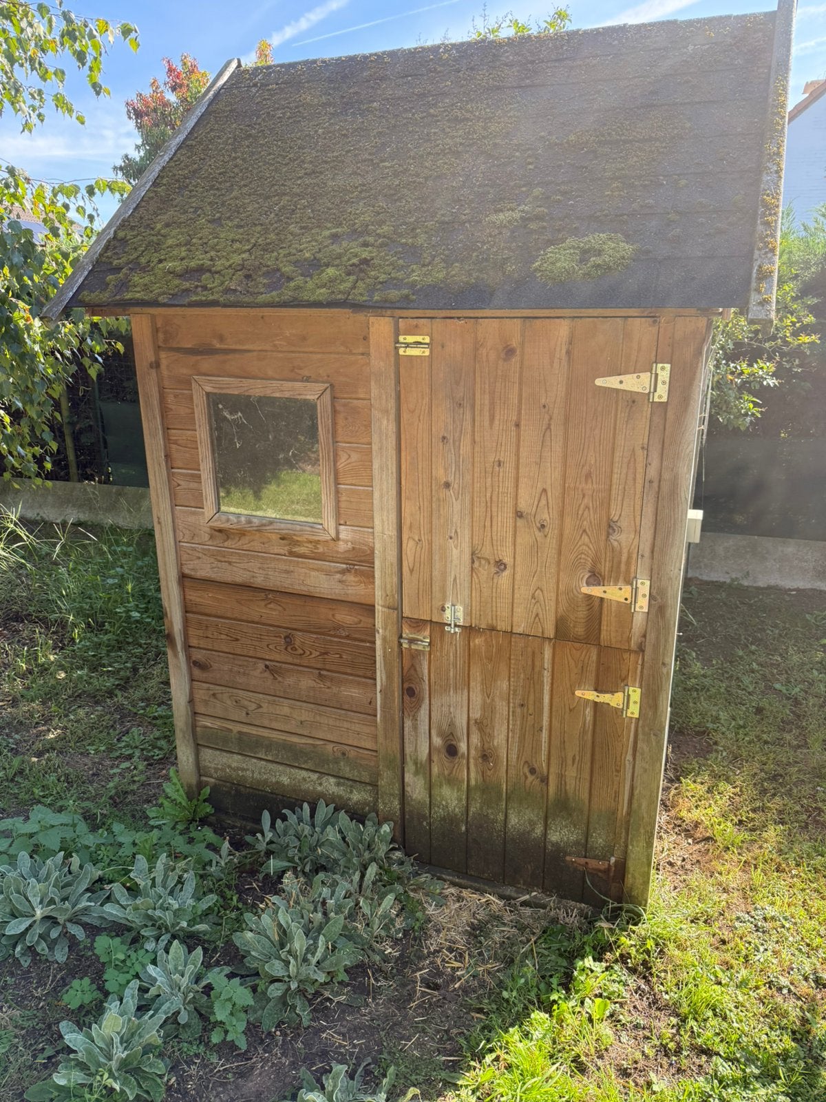 Kippen hok met chickenguard, Dieren en Toebehoren, Ophalen, Zo goed als nieuw