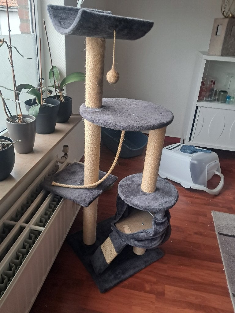 Arbres à chats, Enlèvement, Comme neuf