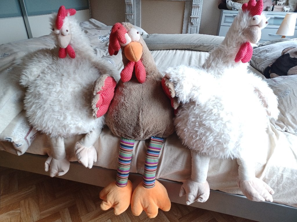 Pluche kippen knuffels, Ophalen