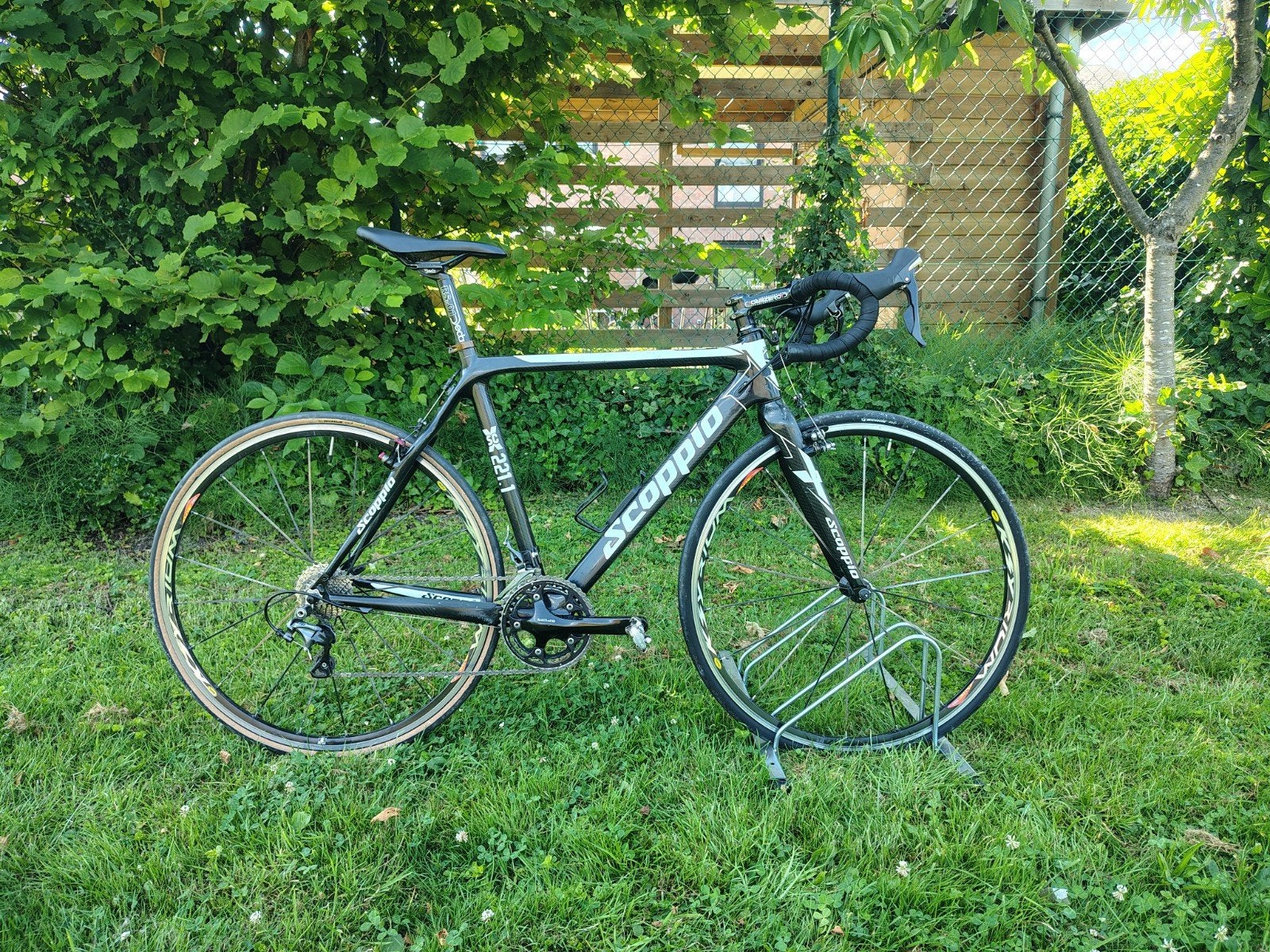 Carbon Cx/ race fiets Scoppio SCX 221.1, Ophalen, 28 inch, Carbon, Velgrem