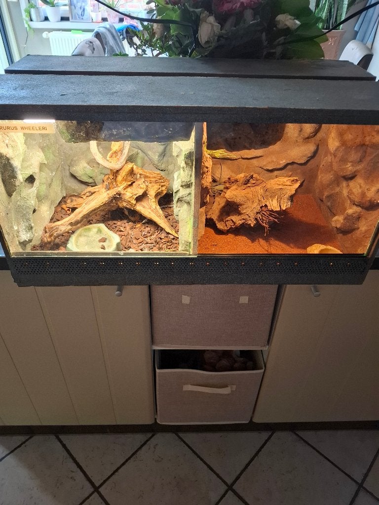 Terrarium, Dieren en Toebehoren, Ophalen, Gebruikt