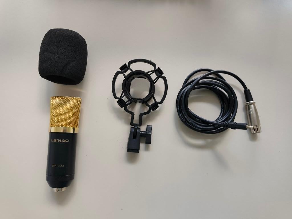 Leihao BM-700 condensator microfoon, Musique & Instruments, Enlèvement, Utilisé, Micro studio