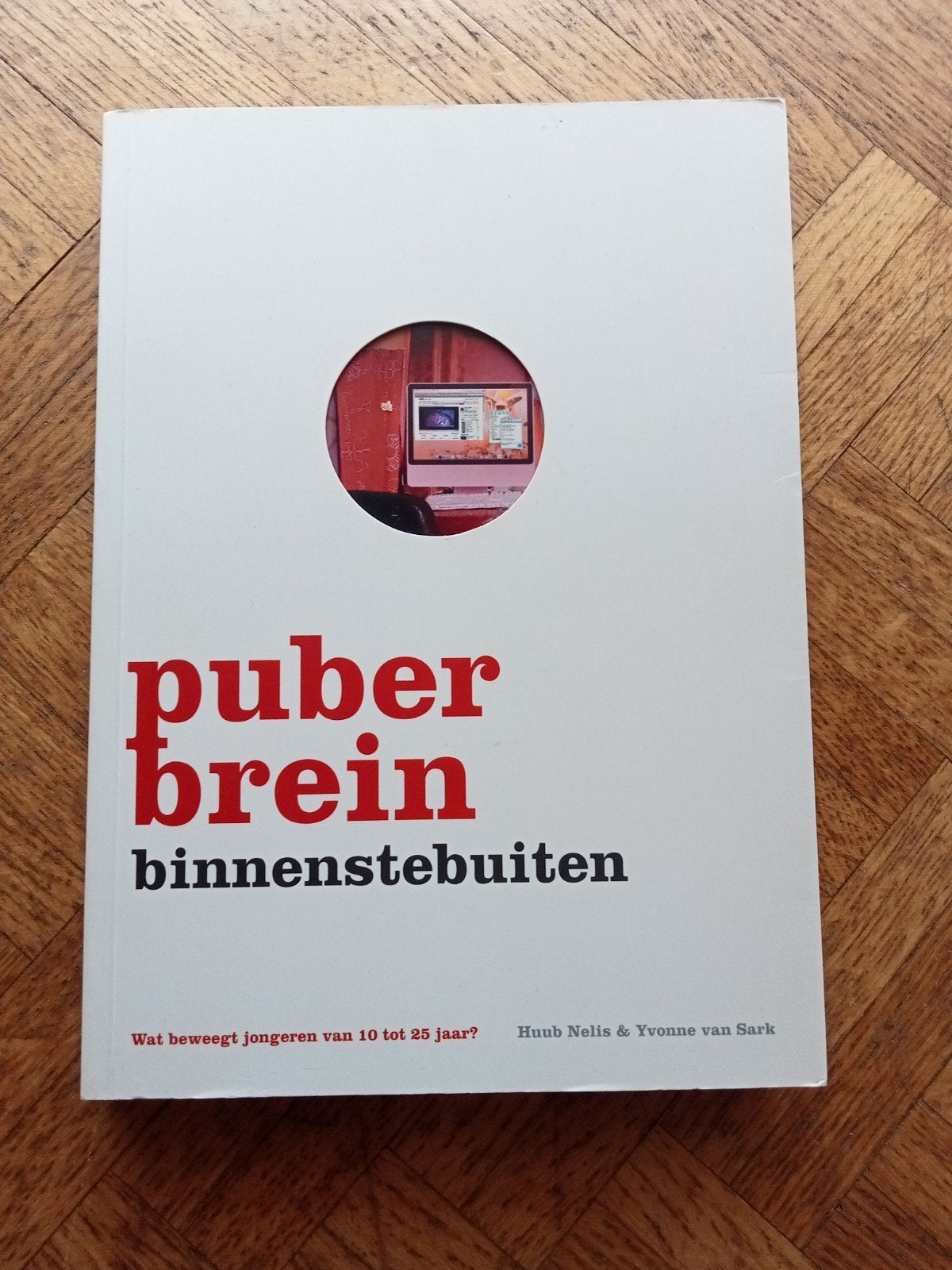 Puberbrein binnenstebuiten, Livres, Psychologie, Enlèvement ou Envoi, Utilisé