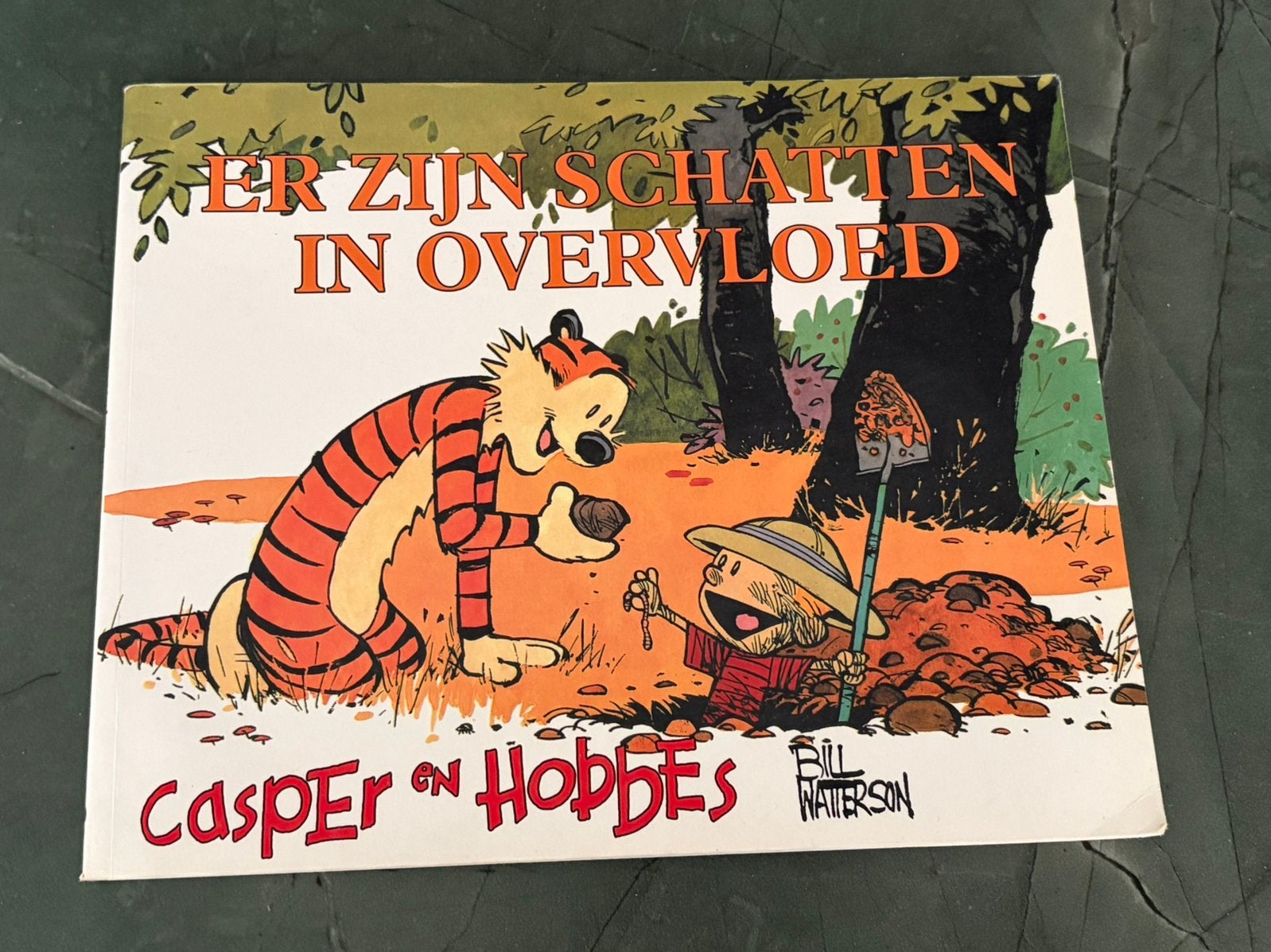 Casper & Hobbes 10 - Er zijn schatten in overvloed, Boeken, Eén stripboek, Ophalen, Zo goed als nieuw
